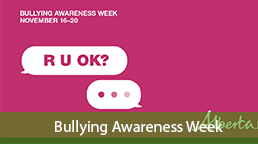 Bully Awareness