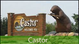 Castor